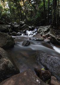 Stream flowing through rocks in forest