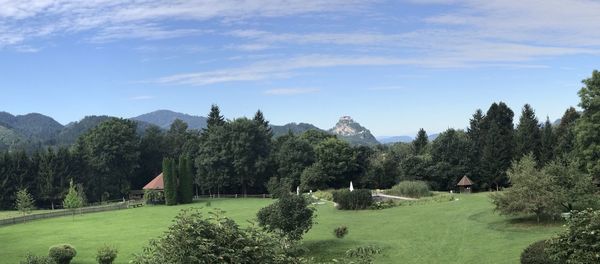 Panoramic shot of trees on field against sky