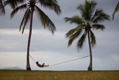 Silhouette person by palm tree against sky