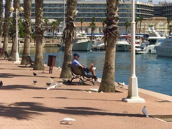 People sitting on seat against trees