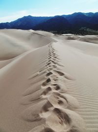 Footprints on sand dune in desert