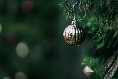 Close-up of christmas decoration hanging on tree