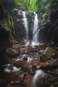 Scenic view of waterfall in forest