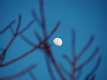 Low angle view of moon against blue sky