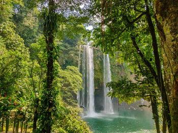 Mexican jungle waterfall