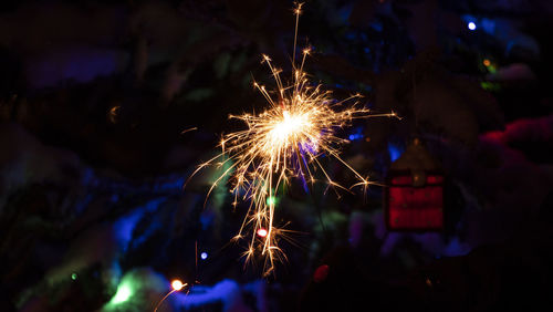 Firework display at night