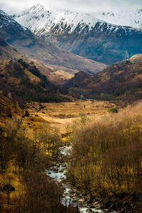 Landscape with mountain in background