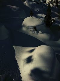 Close-up of a horse on snow