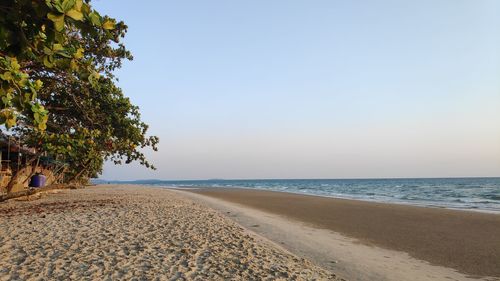 Scenic view of beach against clear sky