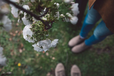 Low section of people standing by flowers on field