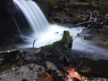 View of waterfall in forest