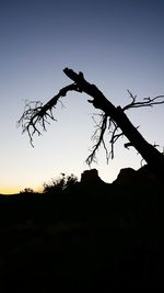 Silhouette trees against clear sky at sunset