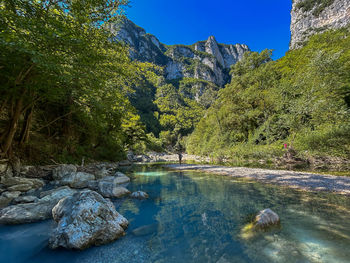 Scenic view of river amidst trees against sky