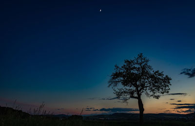 Silhouette tree against clear sky at sunset