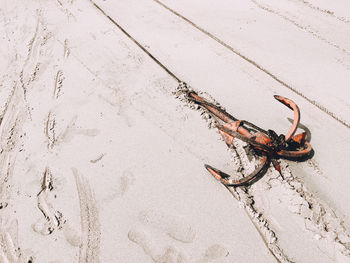 High angle view of insect on sand