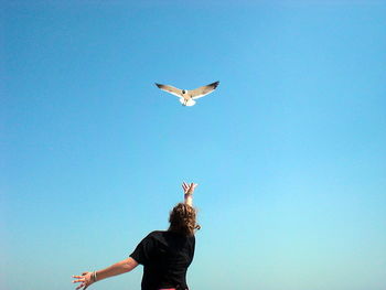 Low angle view of woman with hand raised while seagull flying in clear blue sky