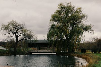 River with trees in background