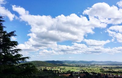 Panoramic view of trees against sky