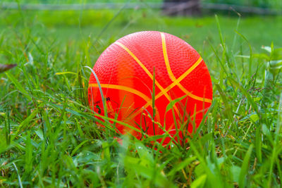 Close-up of red ball on field