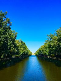 River amidst trees against clear blue sky