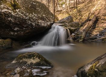 Scenic view of waterfall in forest