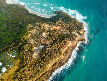 Morton island australia