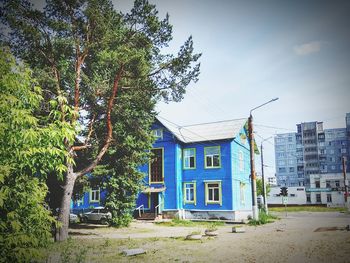 Tree by building against sky