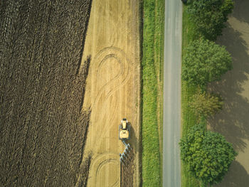 High angle view of agricultural field