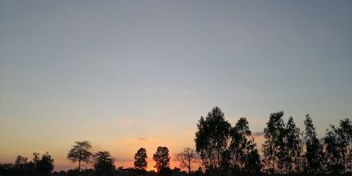 Low angle view of silhouette trees against sky during sunset