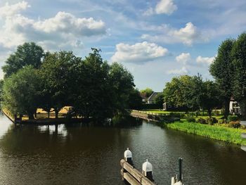 View of swans on lake