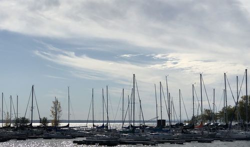 Sailboats in marina