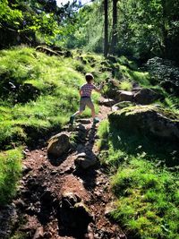 Rear view of man walking in forest