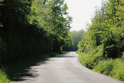 Road amidst trees in forest