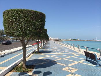 Trees on footpath by sea against clear blue sky