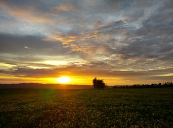 Scenic view of field against sky during sunset