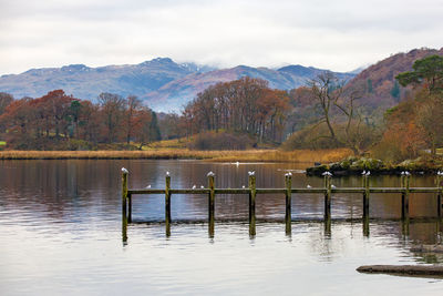 Birds perching on lake against sky