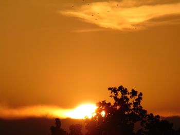 Scenic view of sunset