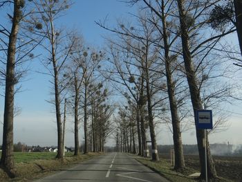 Empty road amidst trees against sky