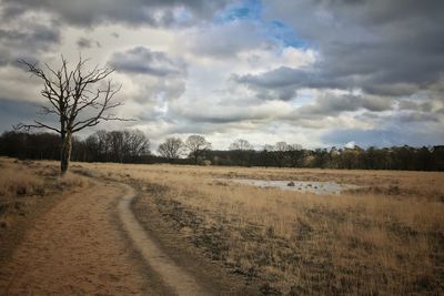 Road amidst bare trees on field against sky