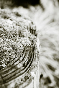 Extreme close up of snow