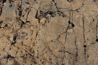 Full frame shot of cracked surface