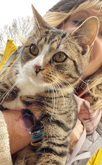 Close-up of hand holding cat