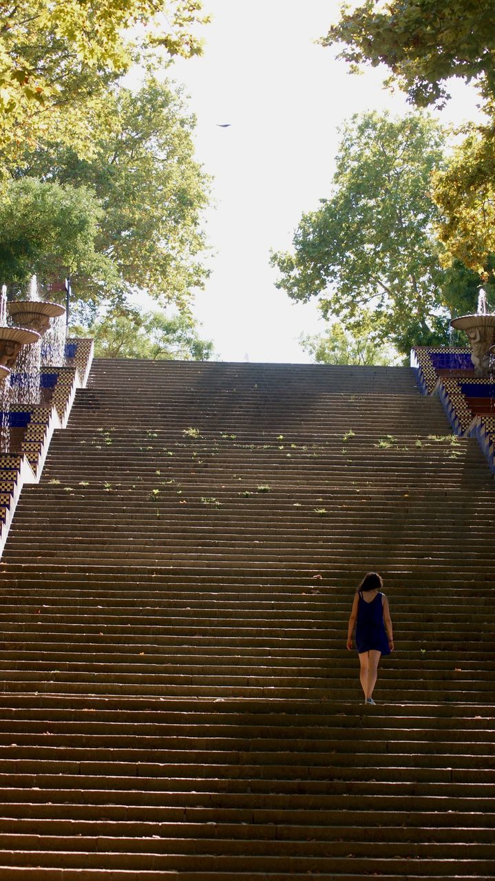 LOW ANGLE VIEW OF STAIRCASE ON TREE