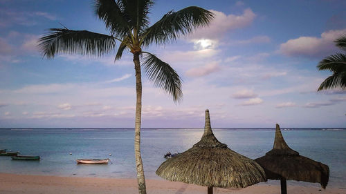 Coconut palm trees on beach against sky