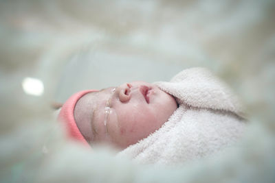 Close-up of a newborn baby wrapped in diapers lies in an incubator at nursery. 