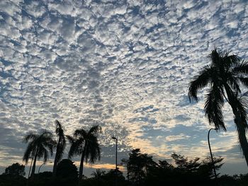 Low angle view of silhouette palm trees against sky