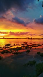 Scenic view of sea at sunset