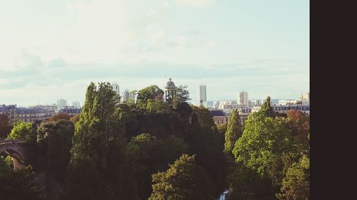 Trees in city against sky