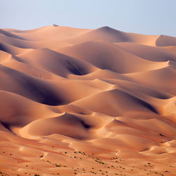 Desert landscape in the uae, sand dunes