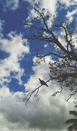Low angle view of bare tree against cloudy sky